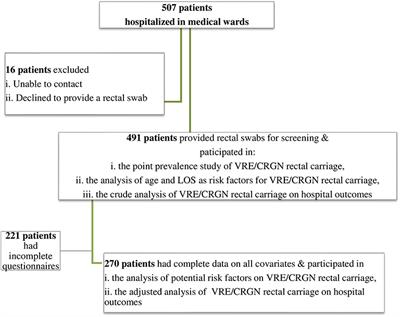 Gastrointestinal Carriage of Vancomycin-Resistant Enterococci and Carbapenem-Resistant Gram-Negative Bacteria in an Endemic Setting: Prevalence, Risk Factors, and Outcomes